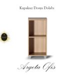 Ahşap kaplamalı dosya dolapları
