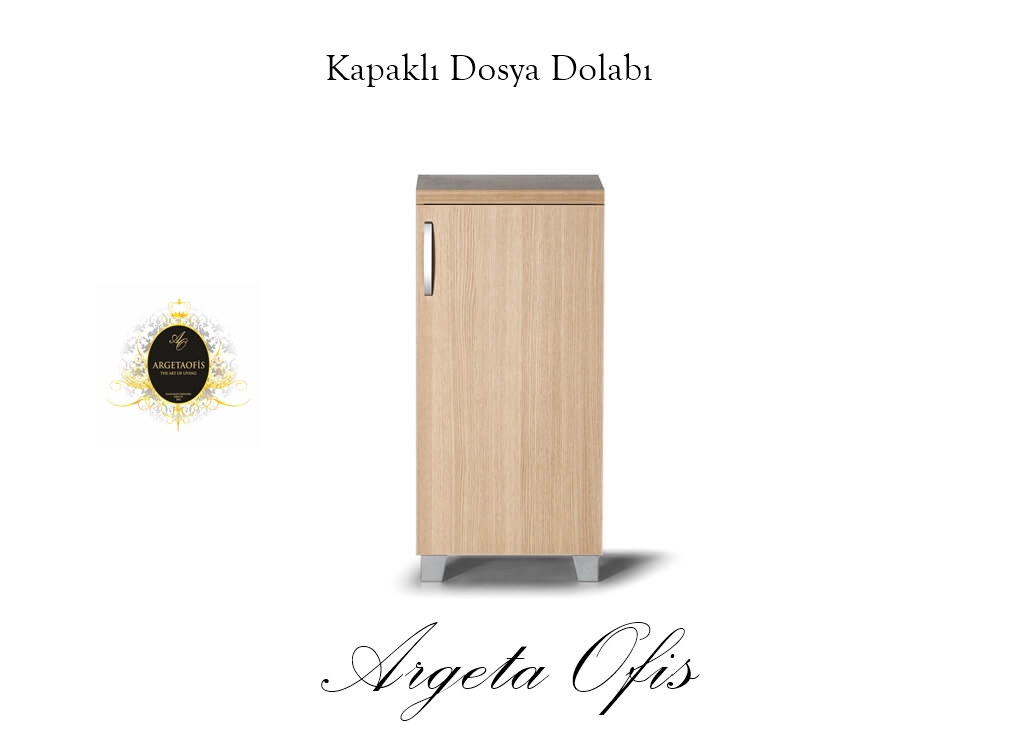 Dayanıklı ve Şık Dosya Dolabı Seçenekleri Minimalist tasarımlı dosya dolabı